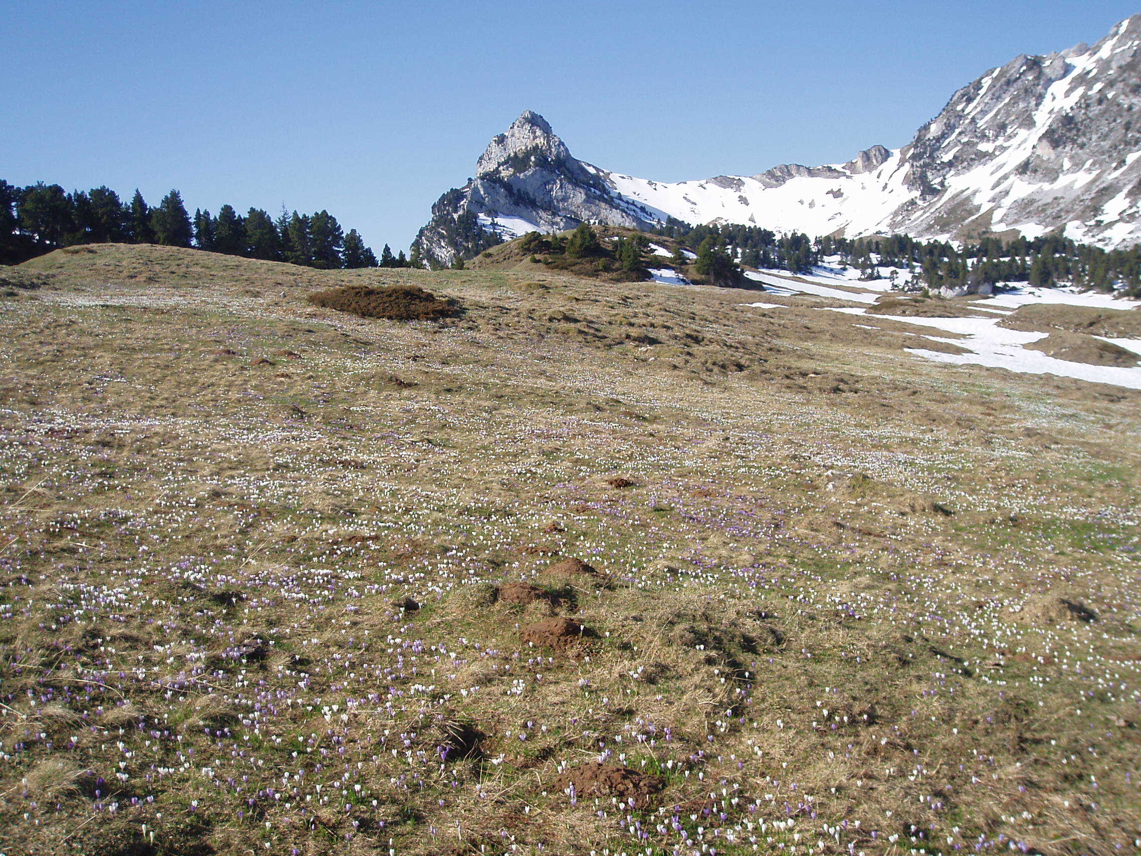 Hauts de Chartreuse