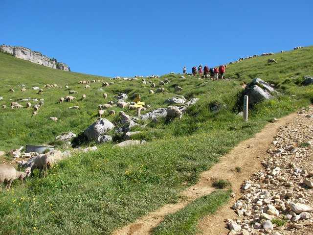 Col des Ayes