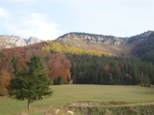 couleurs d'automne à l'attéro des Espinasses