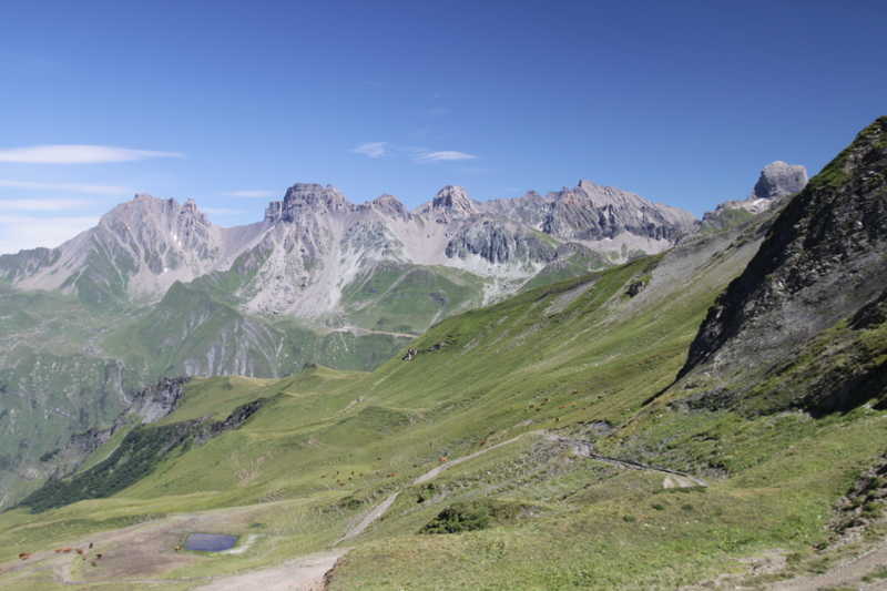 de l'aiguille du Grand Fond à la Pierra Menta avec au premier plan les productrices de Beaufort