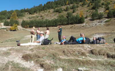 Epilogue au séjour à Castelluccio