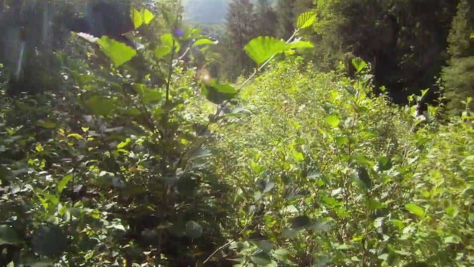 Rando-cross en Belledonne par une journée d’août