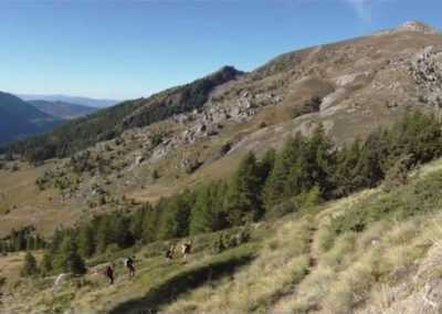 Champsaur : que du bon et du beau !
