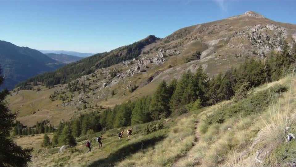 Champsaur : que du bon et du beau !