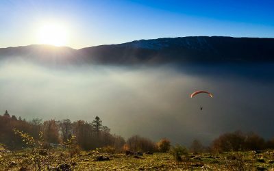 Concours Photo 2018