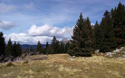 Roc d’Arguille (Pravouta) en bus vélo