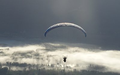 Concours Photo 2019