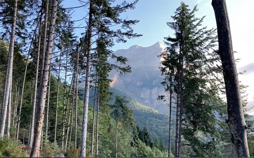 101 – Marche et vol à la dent 2021