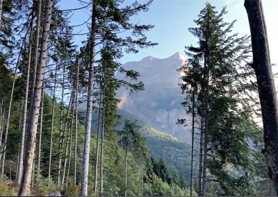 101 – Marche et vol à la dent 2021