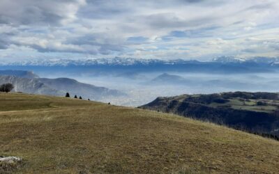 Plateau de Sornin