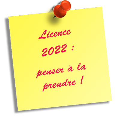 license+2022