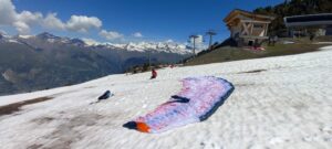 Le Mont Blanc en fond