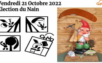 Nain 2022