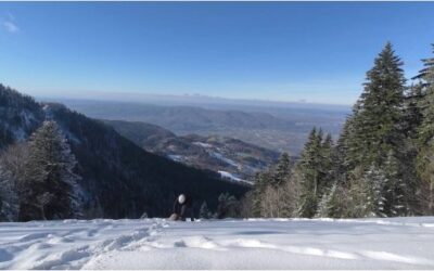 Montaud descend vite