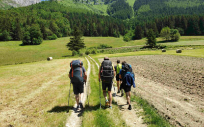 Cornafion de l’après midi