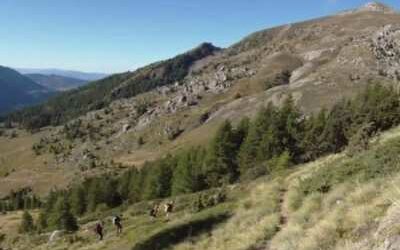 Champsaur : que du bon et du beau !