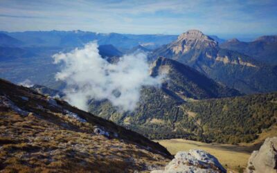 Dent d’automne