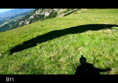 La tête dans les alpages - Col du Palastre