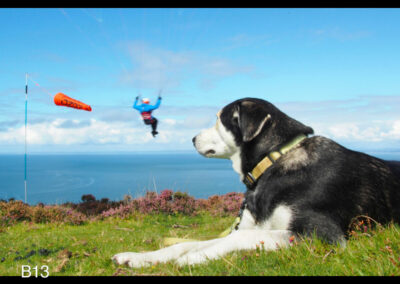 Heidi ne perd pas une miette du spectacle à Rhossili Bay