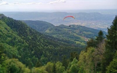 Montaud
