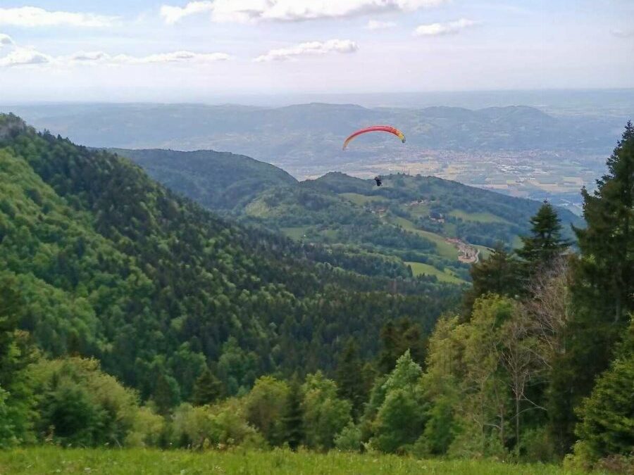 Montaud