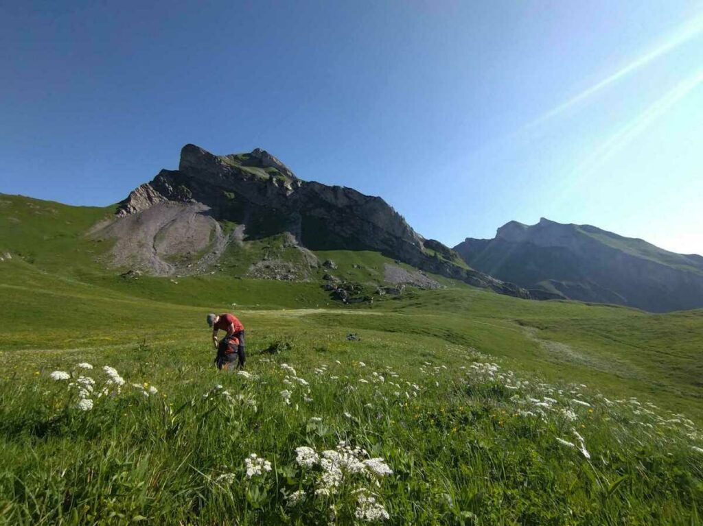 Posé dans l'alpage en dessous du lac