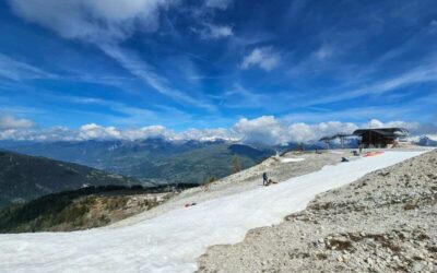 Grizzly (Vallandry)