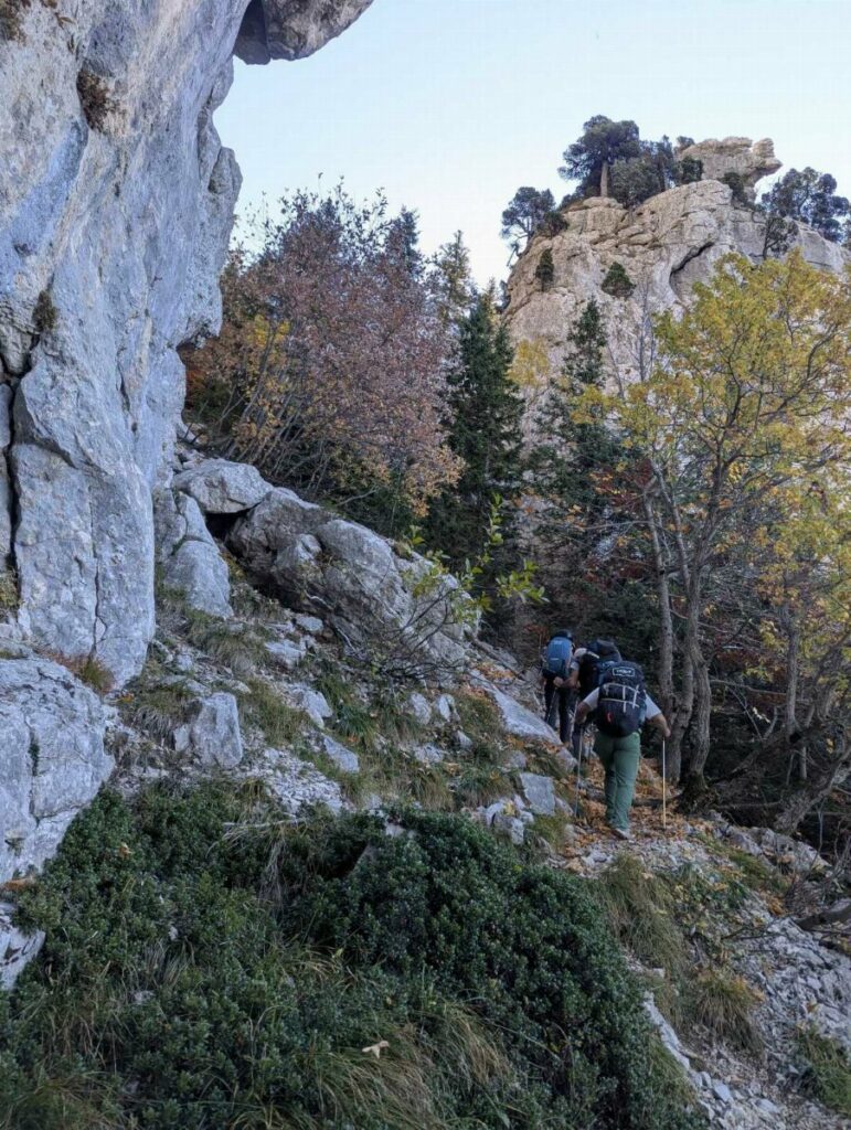 La montée efficace