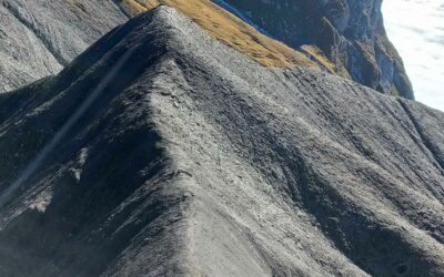 challenge devinette – novembre 2025 – la bouche de Jeanne