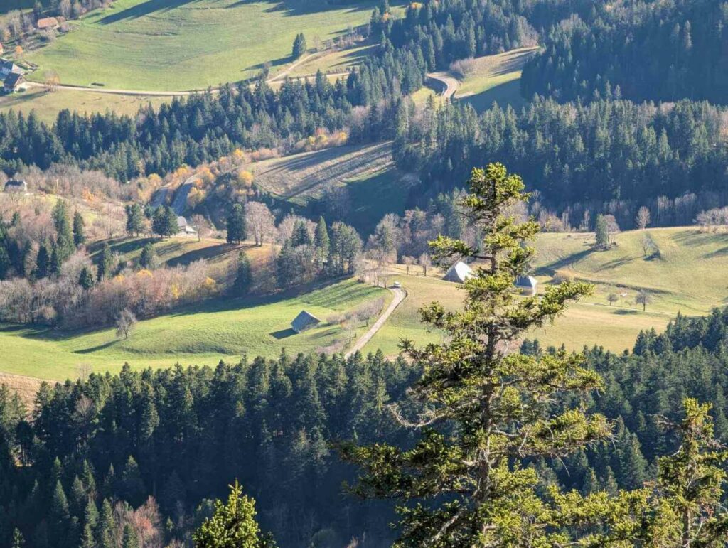 Notre atterro (à droite de la maison)