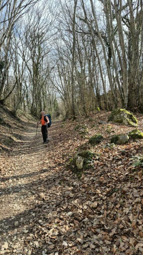 Bruno dans la montée