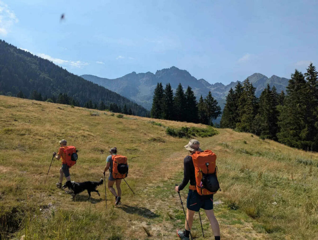 1 promeneur et 4 qui suivent