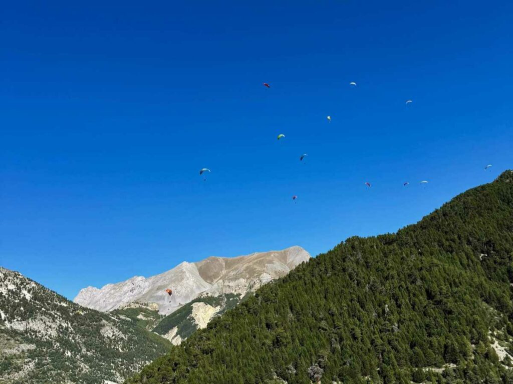 la grappe du bocal